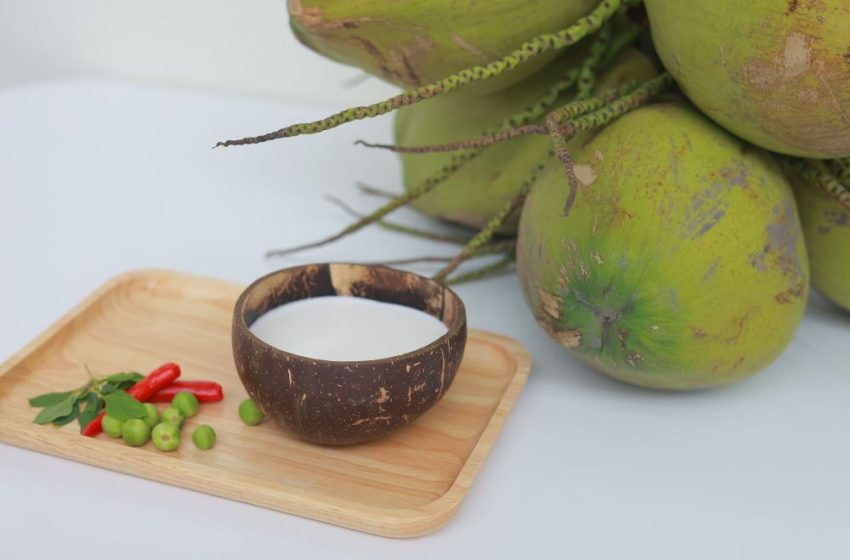  Membongkar Rahasia Nilai Tambah Kelapa di Panggung World Coconut Day 2026